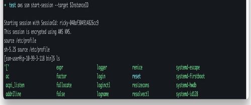基于亚马逊云科技Amazon EC2云服务器，以高弹性和安全性自建堡垒机